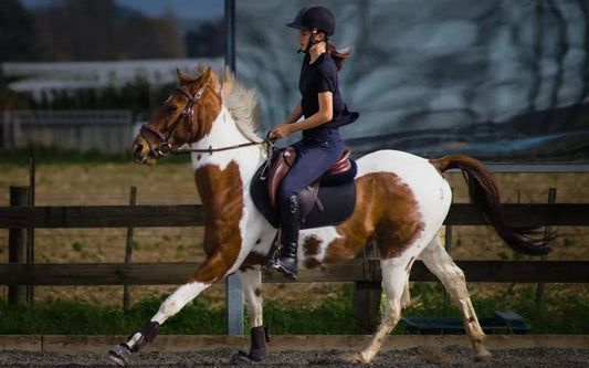 The Best Socks For Horse Riding